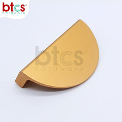 40438 Elegant Flush Handle