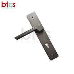Handle Locks AQT L 29 6
