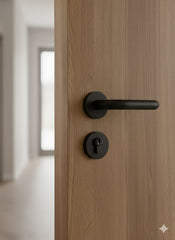 Handle lock S02
