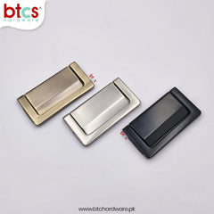 Flush Handle 50494